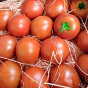 ヒメ日記 2025/10/10 00:06 投稿 山村 熟女の風俗最終章 新横浜店