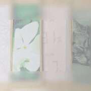 ヒメ日記 2025/10/22 00:29 投稿 山村 熟女の風俗最終章 新横浜店