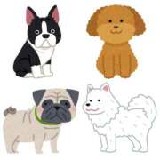 ヒメ日記 2025/11/01 00:26 投稿 山村 熟女の風俗最終章 新横浜店