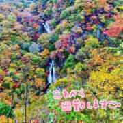 ヒメ日記 2025/11/01 11:17 投稿 山村 熟女の風俗最終章 新横浜店