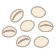 ヒメ日記 2025/11/06 06:36 投稿 山村 熟女の風俗最終章 新横浜店