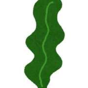 ヒメ日記 2025/11/15 00:16 投稿 山村 熟女の風俗最終章 新横浜店