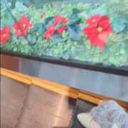 ヒメ日記 2025/12/11 12:10 投稿 山村 熟女の風俗最終章 新横浜店