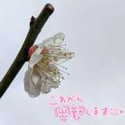 ヒメ日記 2026/03/02 10:16 投稿 山村 熟女の風俗最終章 新横浜店