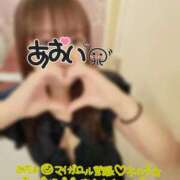 ヒメ日記 2024/12/31 20:05 投稿 あおい SUZUME