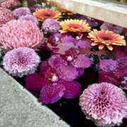 ヒメ日記 2024/12/15 10:27 投稿 あゆみ 風鈴（ふうりん）