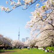 ヒメ日記 2025/04/05 11:52 投稿 あゆみ 風鈴（ふうりん）