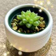 ヒメ日記 2025/05/09 11:49 投稿 あゆみ 風鈴（ふうりん）