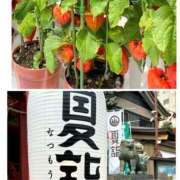 ヒメ日記 2025/07/17 10:47 投稿 あゆみ 風鈴（ふうりん）