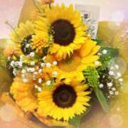 ヒメ日記 2025/07/20 19:47 投稿 あゆみ 風鈴（ふうりん）