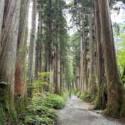 ヒメ日記 2025/09/19 10:50 投稿 あゆみ 風鈴（ふうりん）