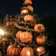 ヒメ日記 2025/10/12 11:07 投稿 あゆみ 風鈴（ふうりん）