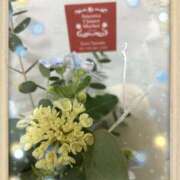 ヒメ日記 2025/11/28 21:14 投稿 あゆみ 風鈴（ふうりん）