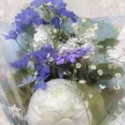 ヒメ日記 2026/02/22 20:07 投稿 あゆみ 風鈴（ふうりん）