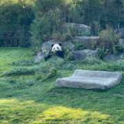 ヒメ日記 2025/03/03 08:14 投稿 由良(ゆら) PLUS梅田店