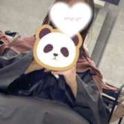 ヒメ日記 2025/02/25 20:58 投稿 七海えあ Mrs. Dandy Yokohama