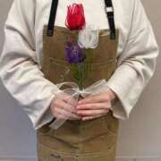 ヒメ日記 2025/04/17 17:01 投稿 あまね ロリ性感と痴女教師 池袋ちんぐり学園