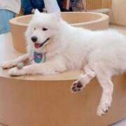 ヒメ日記 2025/10/25 12:01 投稿 あまね ロリ性感と痴女教師 池袋ちんぐり学園