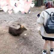ヒメ日記 2026/09/10 17:01 投稿 あまね ロリ性感と痴女教師 池袋ちんぐり学園