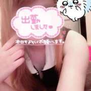 春(はる) 金曜日だね🦦💭 那珂川角海老