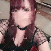 ヒメ日記 2026/08/20 15:33 投稿 春(はる) 那珂川角海老