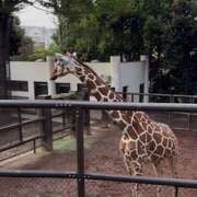 ヒメ日記 2025/12/06 12:42 投稿 ゆうこ みるくDX