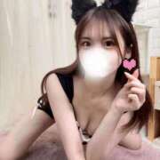 ヒメ日記 2025/07/30 08:15 投稿 りんか 若葉