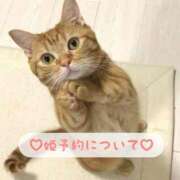 ヒメ日記 2025/02/10 20:55 投稿 ゆら・SP 西川口ティアラ