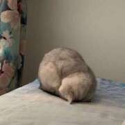 ゆら・SP 😭 西川口ティアラ