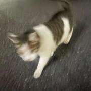 ヒメ日記 2025/04/11 12:06 投稿 まつり Я’s SPEC2