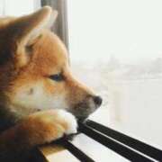 栞(しおり) 😭かおりさーん(*｣´□`)｣ PLUS十三店