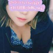 ヒメ日記 2025/02/24 17:36 投稿 あすか ちゃんこ幕張店