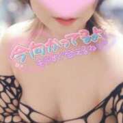 ヒメ日記 2025/03/15 13:36 投稿 あすか ちゃんこ幕張店