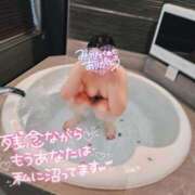 ヒメ日記 2025/04/11 22:26 投稿 あすか ちゃんこ幕張店