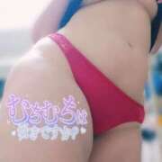 ヒメ日記 2025/04/16 16:26 投稿 あすか ちゃんこ幕張店