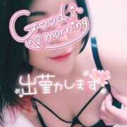 ヒメ日記 2025/05/01 10:16 投稿 あすか ちゃんこ幕張店