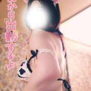 ヒメ日記 2025/06/08 12:26 投稿 あすか ちゃんこ幕張店