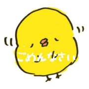 ヒメ日記 2025/07/05 12:46 投稿 あすか ちゃんこ幕張店