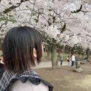 ヒメ日記 2026/04/12 15:20 投稿 水原 人妻楼 木更津店