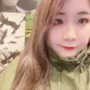 ヒメ日記 2024/12/31 17:40 投稿 じゅん 和歌山ちゃんこ