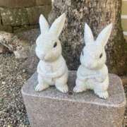 ヒメ日記 2025/05/05 13:42 投稿 じゅん 和歌山ちゃんこ