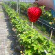 ヒメ日記 2025/05/14 01:38 投稿 じゅん 和歌山ちゃんこ