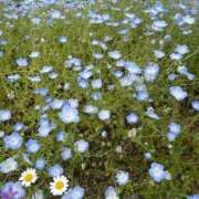 ヒメ日記 2025/05/19 14:32 投稿 じゅん 和歌山ちゃんこ