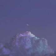 ヒメ日記 2025/08/02 17:07 投稿 じゅん 和歌山ちゃんこ