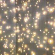 ヒメ日記 2025/11/24 23:01 投稿 じゅん 和歌山ちゃんこ