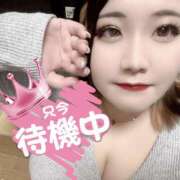 ヒメ日記 2026/03/15 18:23 投稿 じゅん 和歌山ちゃんこ