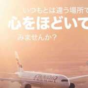 ヒメ日記 2025/06/27 17:09 投稿 なこ 山梨甲府甲斐ちゃんこ