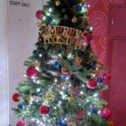 ヒメ日記 2025/12/21 21:30 投稿 なこ 山梨甲府甲斐ちゃんこ