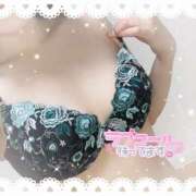 ヒメ日記 2025/03/17 17:08 投稿 すい マネLOVE