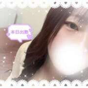 ヒメ日記 2026/01/29 15:15 投稿 すい マネLOVE